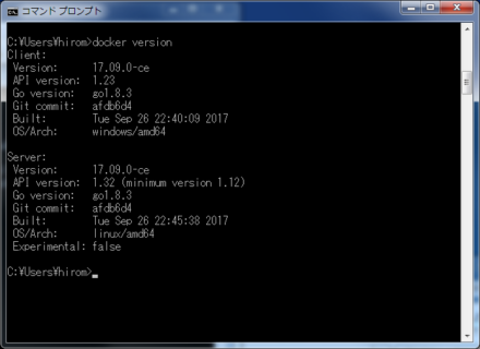 図11 「docker version」