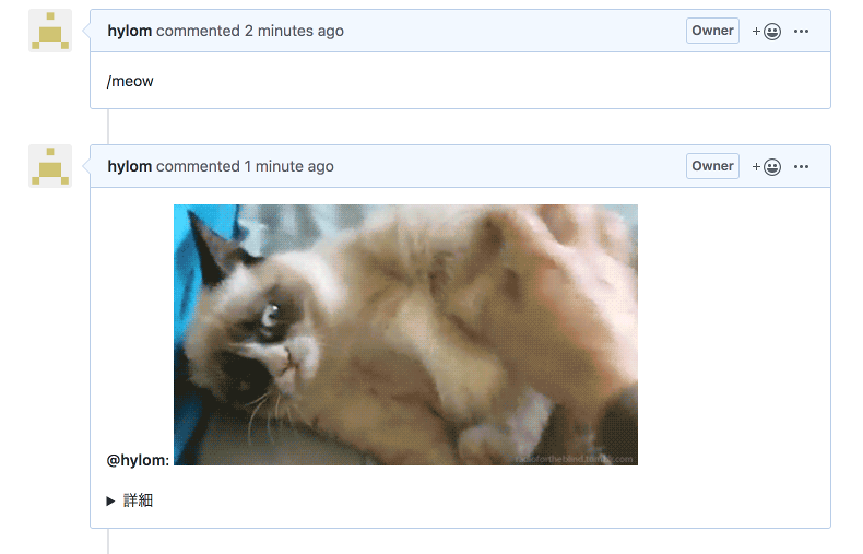 図17 猫画像を投稿する「/meow」といったコマンドも利用できる