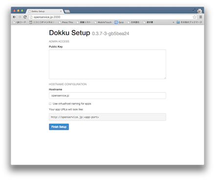 Dokku Alternativeのセットアップ画面です。